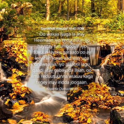 Picture 04 - Taariikhdii Kowaad 16:42 SOM - Oo waxaa iyaga la jiray Heemaan iyo Yeduutuun oo - Bible Verse Picture