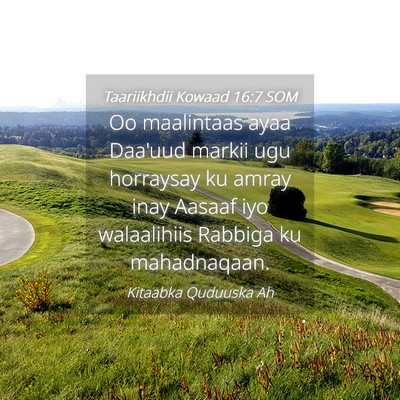Picture 04 - Taariikhdii Kowaad 16:7 SOM - Oo maalintaas ayaa Daa'uud markii ugu horraysay - Bible Verse Picture