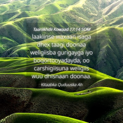 Picture 04 - Taariikhdii Kowaad 17:14 SOM - laakiinse waxaan isaga dhex taagi doonaa - Bible Verse Picture