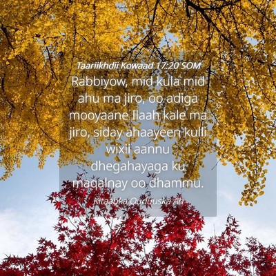 Picture 04 - Taariikhdii Kowaad 17:20 SOM - Rabbiyow, mid kula mid ahu ma jiro, oo adiga - Bible Verse Picture