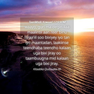 Picture 04 - Taariikhdii Kowaad 17:5 SOM - waayo, guri ma degin ilaa maalintii aan reer binu - Bible Verse Picture