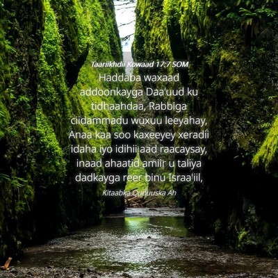 Picture 04 - Taariikhdii Kowaad 17:7 SOM - Haddaba waxaad addoonkayga Daa'uud ku tidhaahdaa, - Bible Verse Picture