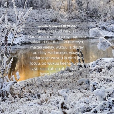 Picture 04 - Taariikhdii Kowaad 18:10 SOM - ayuu Daa'uud wiilkiisii Hadooraam u soo diray - Bible Verse Picture