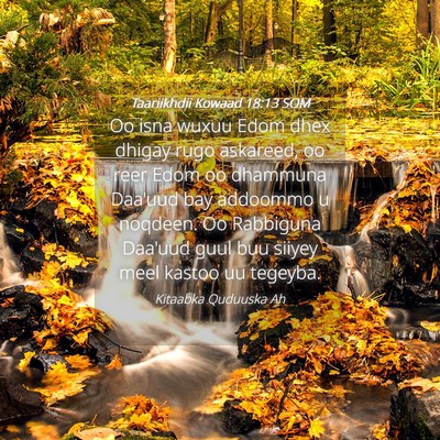 Picture 04 - Taariikhdii Kowaad 18:13 SOM - Oo isna wuxuu Edom dhex dhigay rugo askareed, oo - Bible Verse Picture