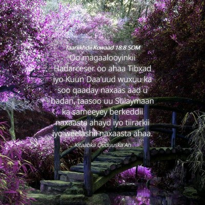 Picture 04 - Taariikhdii Kowaad 18:8 SOM - Oo magaalooyinkii Hadarceser oo ahaa Tibxad iyo - Bible Verse Picture
