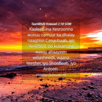 Picture 04 - Taariikhdii Kowaad 2:18 SOM - Kaaleeb ina Xesroonna wuxuu carruur ka dhalay - Bible Verse Picture