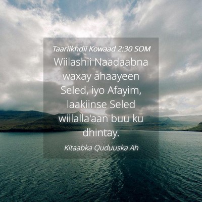 Picture 04 - Taariikhdii Kowaad 2:30 SOM - Wiilashii Naadaabna waxay ahaayeen Seled, iyo - Bible Verse Picture