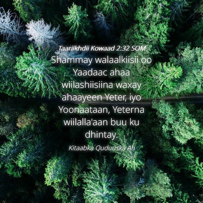 Picture 04 - Taariikhdii Kowaad 2:32 SOM - Shammay walaalkiisii oo Yaadaac ahaa - Bible Verse Picture