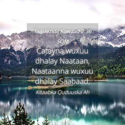 Picture 04 - Taariikhdii Kowaad 2:36 SOM - Catayna wuxuu dhalay Naataan, Naataanna wuxuu - Bible Verse Picture