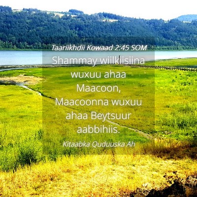 Picture 04 - Taariikhdii Kowaad 2:45 SOM - Shammay wiilkiisiina wuxuu ahaa Maacoon, - Bible Verse Picture