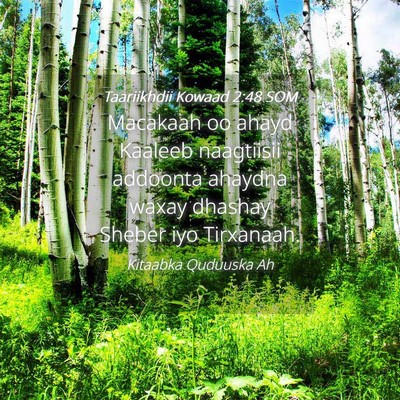 Picture 04 - Taariikhdii Kowaad 2:48 SOM - Macakaah oo ahayd Kaaleeb naagtiisii addoonta - Bible Verse Picture