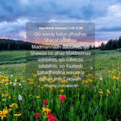 Picture 04 - Taariikhdii Kowaad 2:49 SOM - Oo waxay kaloo dhashay Shacaf oo ahaa Madmannaah - Bible Verse Picture