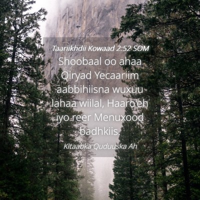 Picture 04 - Taariikhdii Kowaad 2:52 SOM - Shoobaal oo ahaa Qiryad Yecaariim aabbihiisna - Bible Verse Picture