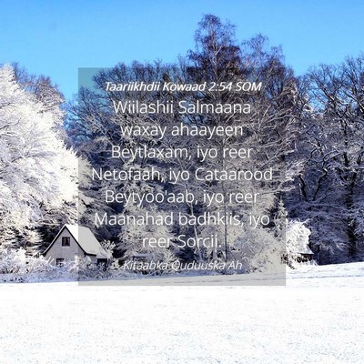 Picture 04 - Taariikhdii Kowaad 2:54 SOM - Wiilashii Salmaana waxay ahaayeen Beytlaxam, iyo - Bible Verse Picture