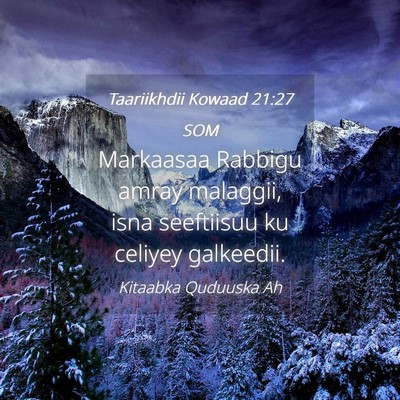 Picture 04 - Taariikhdii Kowaad 21:27 SOM - Markaasaa Rabbigu amray malaggii, isna seeftiisuu - Bible Verse Picture