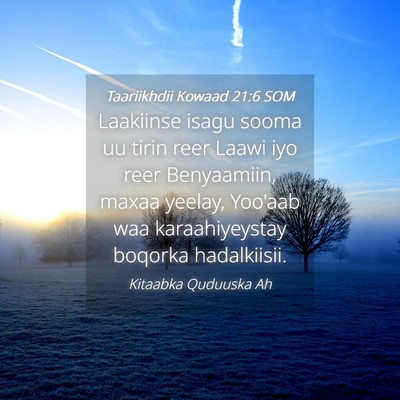 Picture 04 - Taariikhdii Kowaad 21:6 SOM - Laakiinse isagu sooma uu tirin reer Laawi iyo - Bible Verse Picture