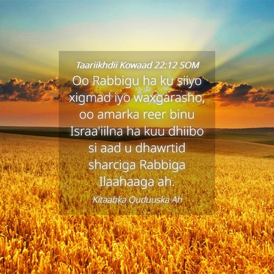 Picture 04 - Taariikhdii Kowaad 22:12 SOM - Oo Rabbigu ha ku siiyo xigmad iyo waxgarasho, oo - Bible Verse Picture