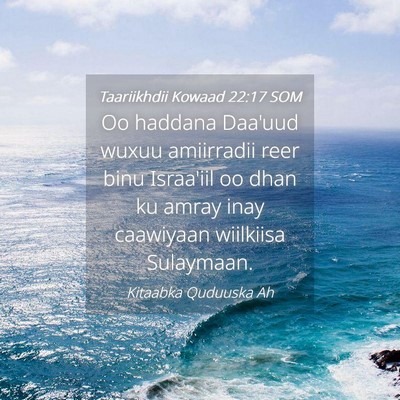 Picture 04 - Taariikhdii Kowaad 22:17 SOM - Oo haddana Daa'uud wuxuu amiirradii reer binu - Bible Verse Picture