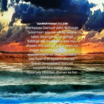 Picture 04 - Taariikhdii Kowaad 22:5 SOM - Markaasaa Daa'uud yidhi, Wiilkayga Sulaymaan waa - Bible Verse Picture