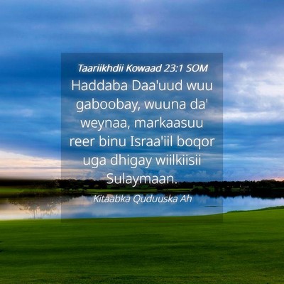 Picture 04 - Taariikhdii Kowaad 23:1 SOM - Haddaba Daa'uud wuu gaboobay, wuuna da' weynaa, - Bible Verse Picture