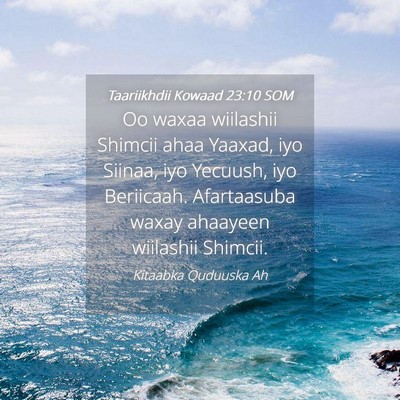 Picture 04 - Taariikhdii Kowaad 23:10 SOM - Oo waxaa wiilashii Shimcii ahaa Yaaxad, iyo - Bible Verse Picture