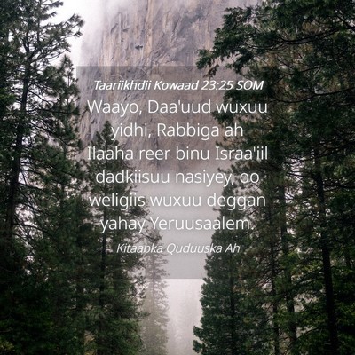 Picture 04 - Taariikhdii Kowaad 23:25 SOM - Waayo, Daa'uud wuxuu yidhi, Rabbiga ah Ilaaha - Bible Verse Picture