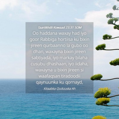 Picture 04 - Taariikhdii Kowaad 23:31 SOM - Oo haddana waxay had iyo goor Rabbiga hortiisa ku - Bible Verse Picture