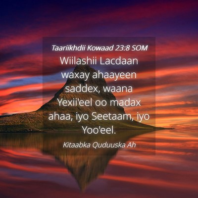 Picture 04 - Taariikhdii Kowaad 23:8 SOM - Wiilashii Lacdaan waxay ahaayeen saddex, waana - Bible Verse Picture