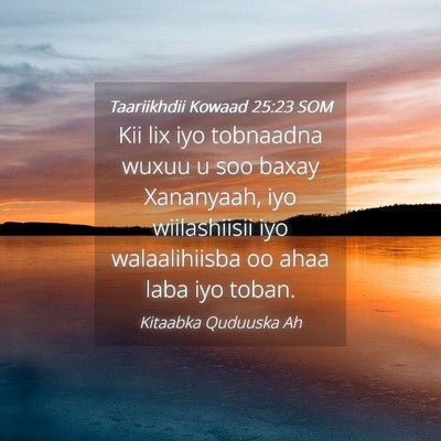 Picture 04 - Taariikhdii Kowaad 25:23 SOM - Kii lix iyo tobnaadna wuxuu u soo baxay - Bible Verse Picture