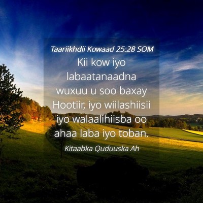 Picture 04 - Taariikhdii Kowaad 25:28 SOM - Kii kow iyo labaatanaadna wuxuu u soo baxay - Bible Verse Picture