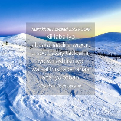 Picture 04 - Taariikhdii Kowaad 25:29 SOM - Kii laba iyo labaatanaadna wuxuu u soo baxay - Bible Verse Picture