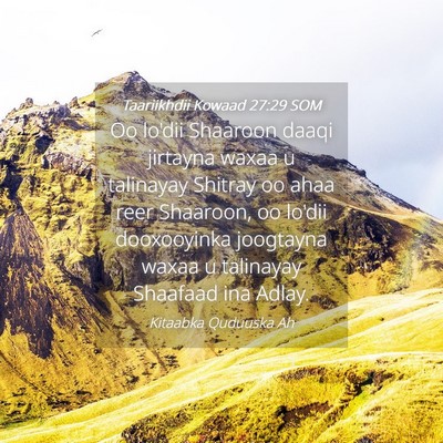 Picture 04 - Taariikhdii Kowaad 27:29 SOM - Oo lo'dii Shaaroon daaqi jirtayna waxaa u - Bible Verse Picture