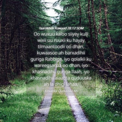 Picture 04 - Taariikhdii Kowaad 28:12 SOM - Oo wuxuu kaloo siiyey kulli wixii uu ruuxii ku - Bible Verse Picture