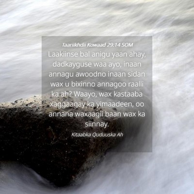 Picture 04 - Taariikhdii Kowaad 29:14 SOM - Laakiinse bal anigu yaan ahay, dadkayguse waa - Bible Verse Picture