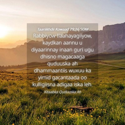 Picture 04 - Taariikhdii Kowaad 29:16 SOM - Rabbiyow Ilaahayagiiyow, kaydkan aannu u - Bible Verse Picture