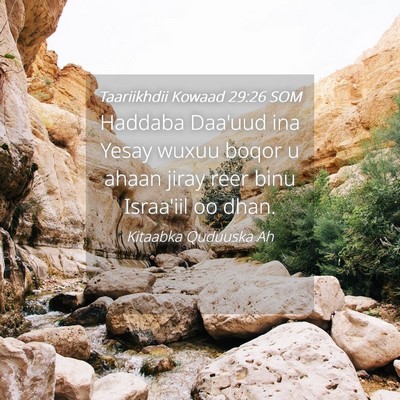 Picture 04 - Taariikhdii Kowaad 29:26 SOM - Haddaba Daa'uud ina Yesay wuxuu boqor u ahaan - Bible Verse Picture