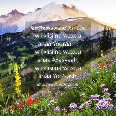 Picture 04 - Taariikhdii Kowaad 3:11 SOM - wiilkiisiina wuxuu ahaa Yooraam, wiilkiisiina - Bible Verse Picture