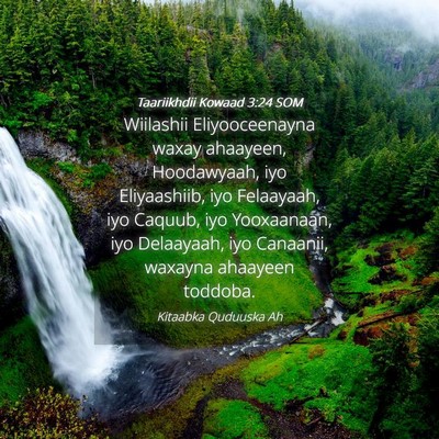 Picture 04 - Taariikhdii Kowaad 3:24 SOM - Wiilashii Eliyooceenayna waxay ahaayeen, - Bible Verse Picture