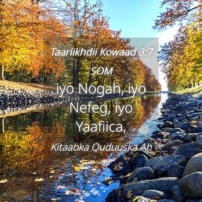 Picture 04 - Taariikhdii Kowaad 3:7 SOM - iyo Nogah, iyo Nefeg, iyo - Bible Verse Picture