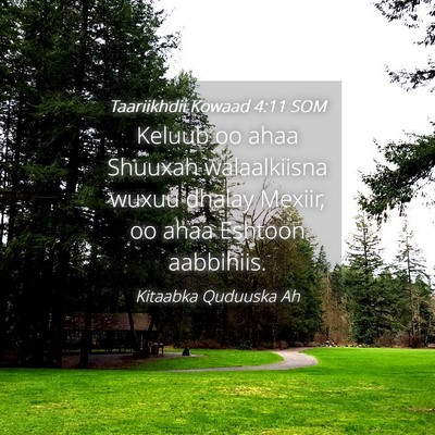 Picture 04 - Taariikhdii Kowaad 4:11 SOM - Keluub oo ahaa Shuuxah walaalkiisna wuxuu dhalay - Bible Verse Picture