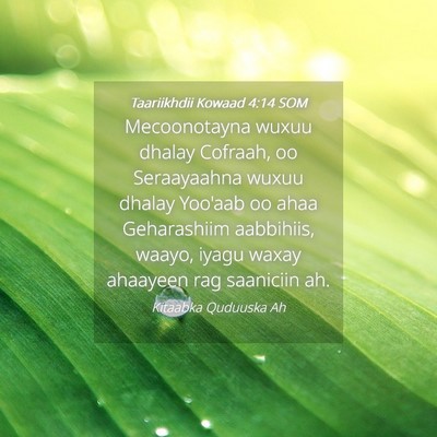 Picture 04 - Taariikhdii Kowaad 4:14 SOM - Mecoonotayna wuxuu dhalay Cofraah, oo Seraayaahna - Bible Verse Picture