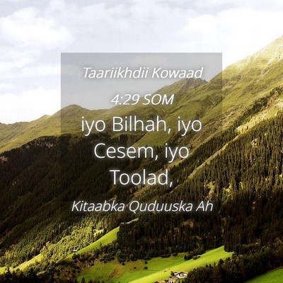 Picture 04 - Taariikhdii Kowaad 4:29 SOM - iyo Bilhah, iyo Cesem, iyo - Bible Verse Picture