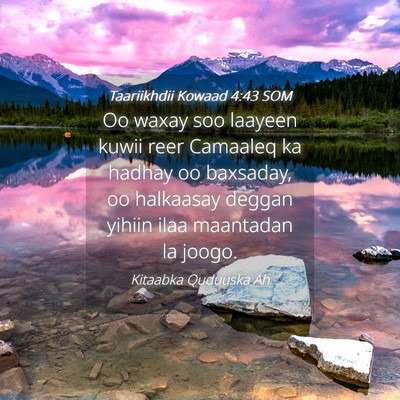 Picture 04 - Taariikhdii Kowaad 4:43 SOM - Oo waxay soo laayeen kuwii reer Camaaleq ka - Bible Verse Picture
