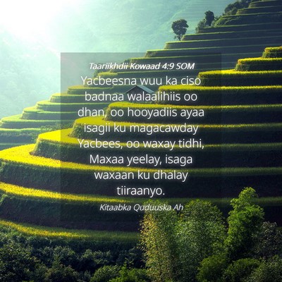 Picture 04 - Taariikhdii Kowaad 4:9 SOM - Yacbeesna wuu ka ciso badnaa walaalihiis oo dhan, - Bible Verse Picture
