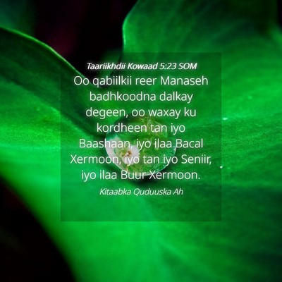 Picture 04 - Taariikhdii Kowaad 5:23 SOM - Oo qabiilkii reer Manaseh badhkoodna dalkay - Bible Verse Picture