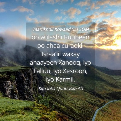 Picture 04 - Taariikhdii Kowaad 5:3 SOM - oo wiilashii Ruubeen oo ahaa curadkii Israa'iil - Bible Verse Picture