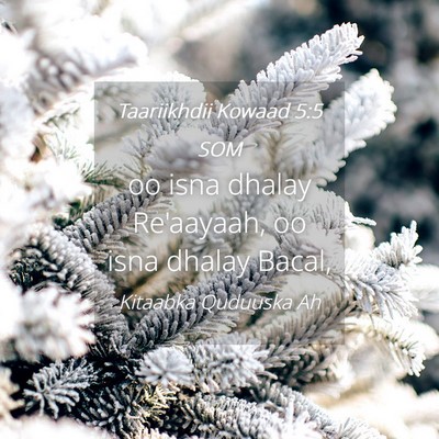 Picture 04 - Taariikhdii Kowaad 5:5 SOM - oo isna dhalay Re'aayaah, oo isna dhalay - Bible Verse Picture