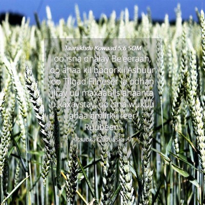 Picture 04 - Taariikhdii Kowaad 5:6 SOM - oo isna dhalay Be'eeraah, oo ahaa kii boqorkii - Bible Verse Picture
