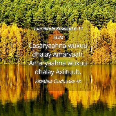 Picture 04 - Taariikhdii Kowaad 6:11 SOM - Casaryaahna wuxuu dhalay Amaryaah, Amaryaahna - Bible Verse Picture