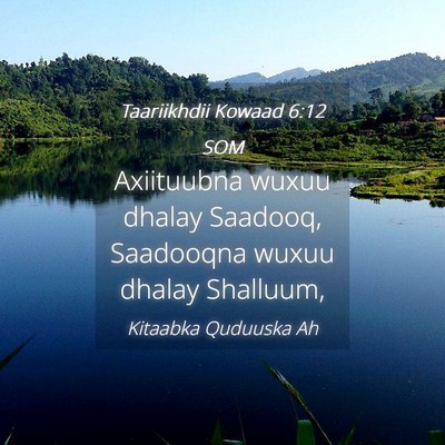 Picture 04 - Taariikhdii Kowaad 6:12 SOM - Axiituubna wuxuu dhalay Saadooq, Saadooqna wuxuu - Bible Verse Picture